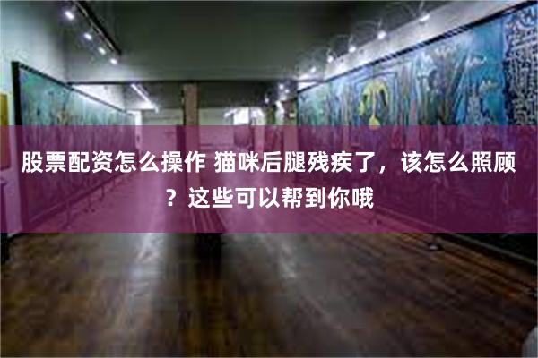 股票配资怎么操作 猫咪后腿残疾了，该怎么照顾？这些可以帮到你哦