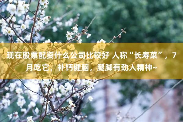 现在股票配资什么公司比较好 人称“长寿菜”，7月吃它，补钙健脑，腿脚有劲人精神~