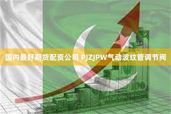 国内最好期货配资公司 PJZJPW气动波纹管调节阀