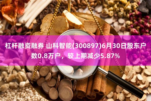 杠杆融资融券 山科智能(300897)6月30日股东户数0.8万户，较上期减少5.87%