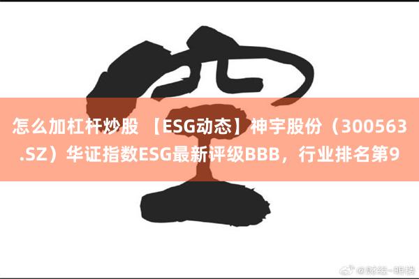 怎么加杠杆炒股 【ESG动态】神宇股份（300563.SZ）华证指数ESG最新评级BBB，行业排名第9