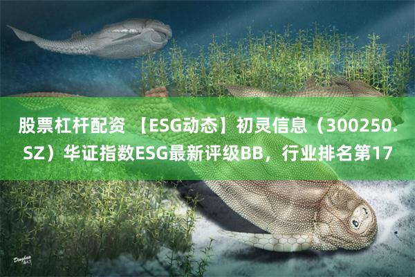 股票杠杆配资 【ESG动态】初灵信息（300250.SZ）华证指数ESG最新评级BB，行业排名第17