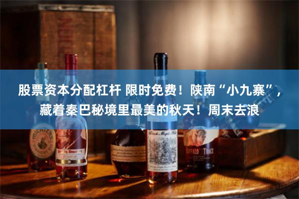 股票资本分配杠杆 限时免费！陕南“小九寨”，藏着秦巴秘境里最美的秋天！周末去浪