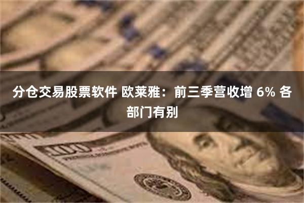 分仓交易股票软件 欧莱雅：前三季营收增 6% 各部门有别