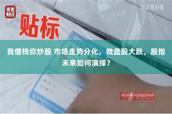 我借钱你炒股 市场走势分化，微盘股大跌，股指未来如何演绎？