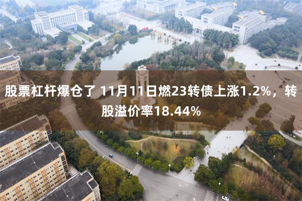 股票杠杆爆仓了 11月11日燃23转债上涨1.2%，转股溢价率18.44%