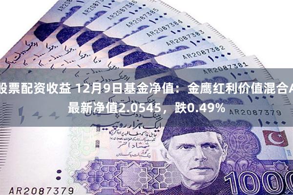 股票配资收益 12月9日基金净值：金鹰红利价值混合A最新净值2.0545，跌0.49%